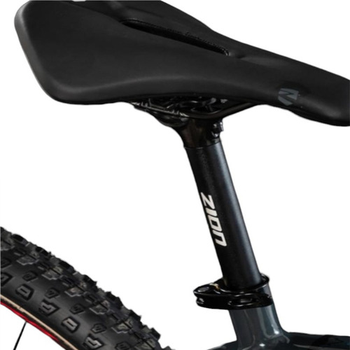 Bicicleta Mtb R29 Zion Diablo Shimano Deore1x12 Gris/celeste S