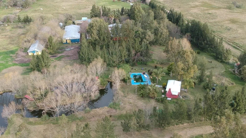 Imagen 8 de 9 de Campo/chacra En Chascomús 3 Ha - Con Emprendimiento Avícola