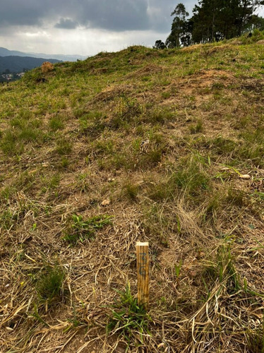 Imagem 15 de 30 de 01- Terrenos Para Chácara A 25 Minutos Da Capital ! Agende Sua Visita.