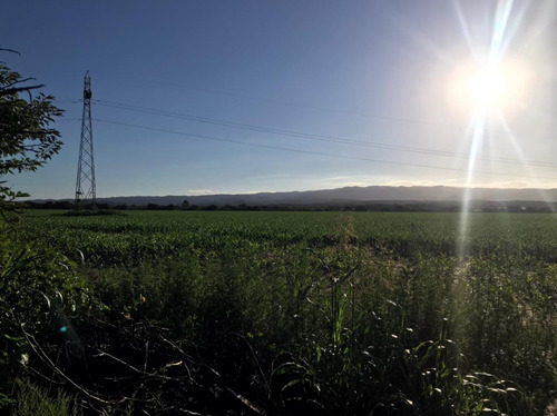Se Vende Campo Mixto 161 Ha En Los Molinos (córdoba), A Tranquera Cerrada.