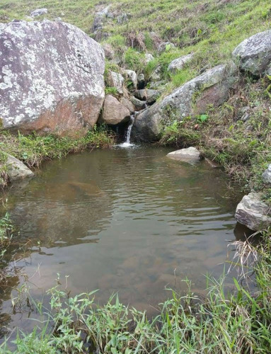 Excelente Finca En Chiguara Mérida