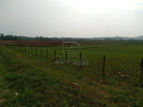 Imagem 3 de 15 de Terreno Comercial - Rio Dos Porcos - Ref: 32084 - V-32081