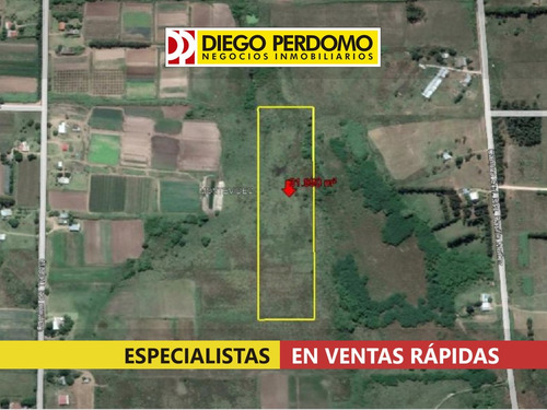 Chacra De 31.950 M² En Venta, Montevideo