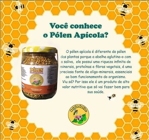 Abelha Pólen Orgânico 160g