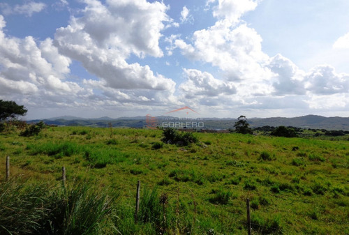 17 Has, Vistas Serranas, Monte Nativo, Arroyo Y A 1 Hora De Mdeo...- Ref: 26461