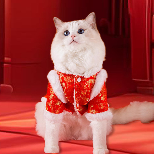 Disfraz De Año Nuevo Chino Para Gato, Abrigo De Invierno M