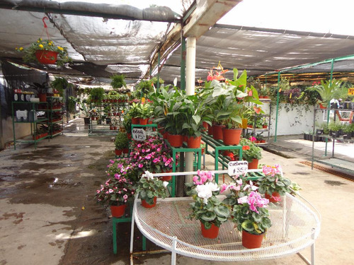 Terreno Comercial En Yautepec , Yautepec, Morelos - Ari-507-tu