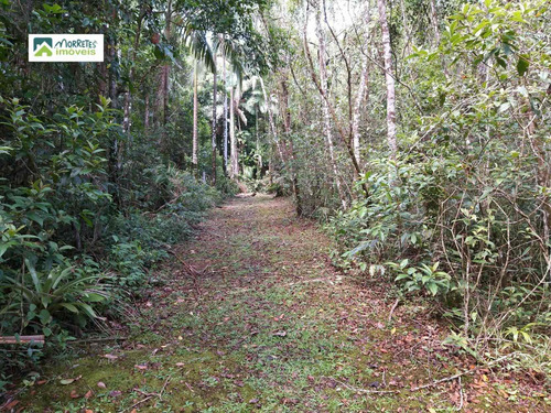 Imagem 22 de 24 de Chácara À Venda No Bairro América De Cima - Morretes/pr - 269