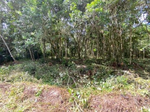 Terreno De Chácara Em Itanhaém Com Contrato 7866