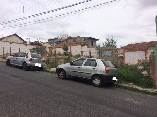 Imagem 7 de 16 de Lote 375m2 Bairro Ipiranga - 94675