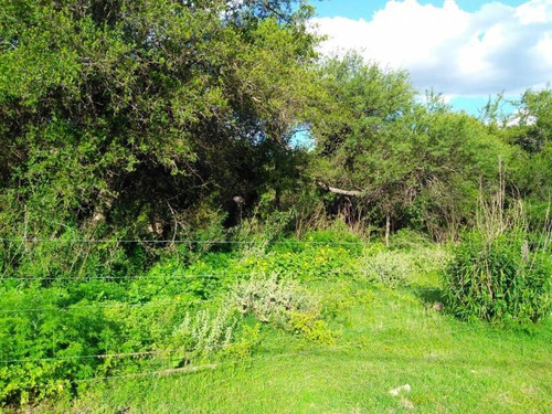 Terrenos O Lotes Venta San Lorenzo
