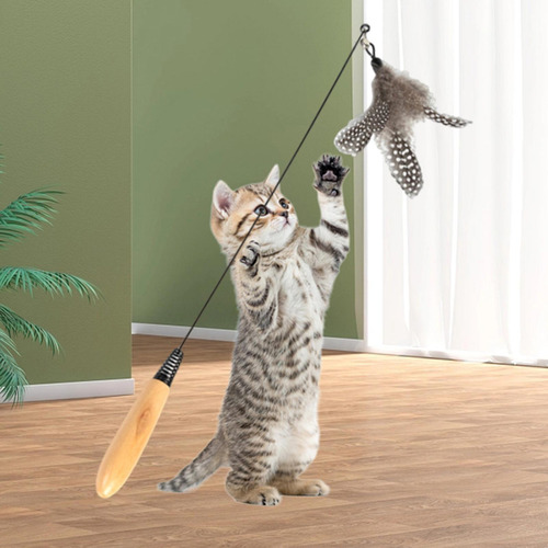 Juguete Teaser Para Gatos, Suministros Para Mascotas,