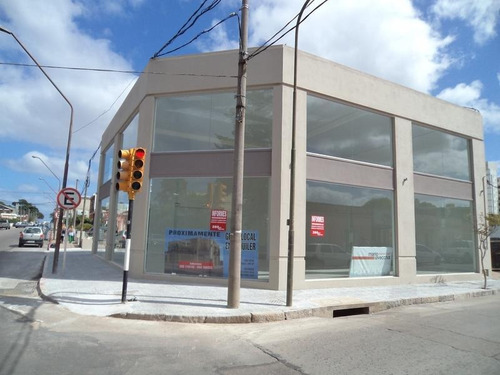 Imagen 8 de 8 de Gran Local Comercial En Triple Altura, Super Vidriado! En Inmejorable Zona!