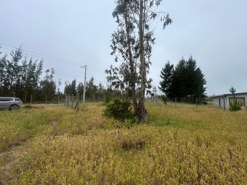 Se Vende Parcela Orilla Carretera Lomas De Pichilemu