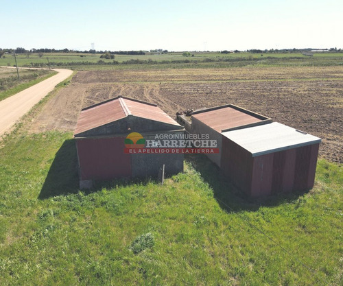 Imagen 6 de 28 de Chacra En Venta Progreso, 4.5 Has Muy Bien Ubicadas!