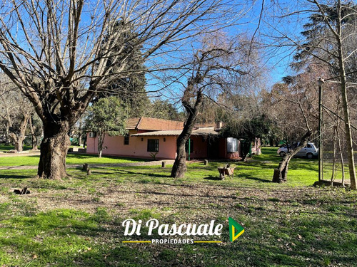 Venta Casa Quinta Sobre 17.800 M2 - Ideal Inversores / Instituciones - Trujui - Moreno