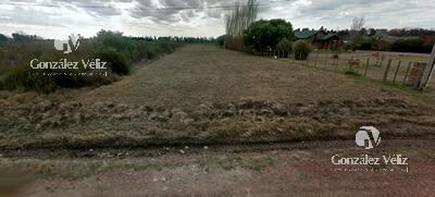 Terreno Venta