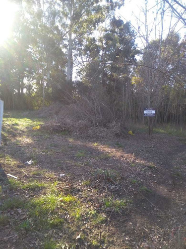 Imagen 2 de 3 de Lote De 326 M² En Villa Rosa, Pilar