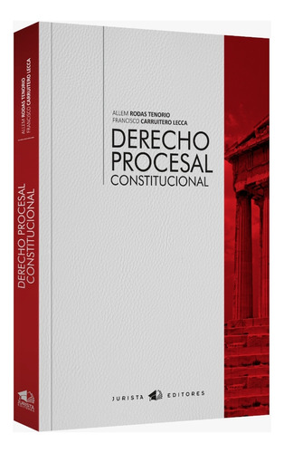 Derecho  Procesal  Constitucional  2024.   Original 