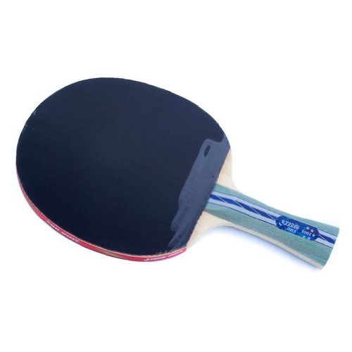 Dhs Ping Pong Paleta A5002, Raqueta De Tenis De Mesa -