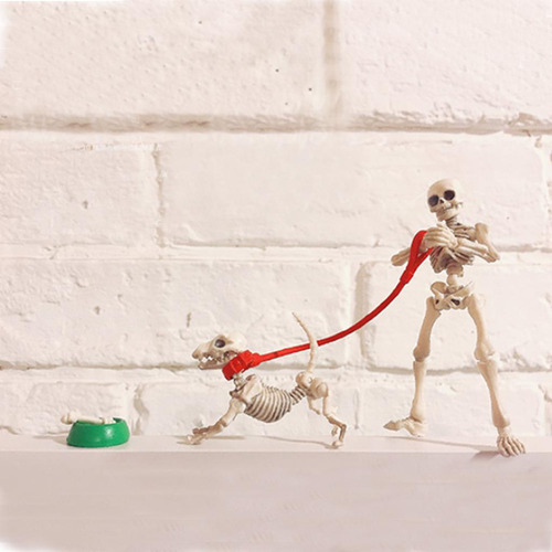 A Casa De Muñecas Miniatura Perro Esqueleto Mini Figuras De