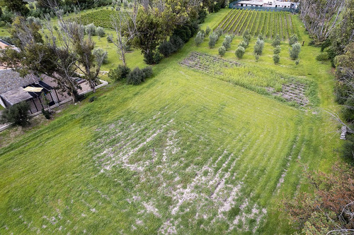 Lote En Venta En San Miguel De Allende: Viñedo San Lucas