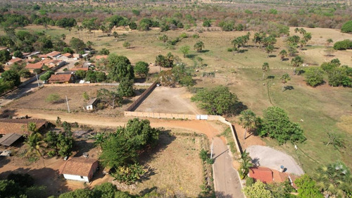 Imagem 14 de 14 de Terreno De 13.000m2 Com Duas Nascente E Murado