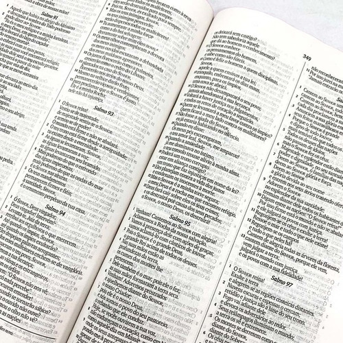 Bíblia Sagrada | Nvi | Slim | Capa Dura | Leão Rugido
