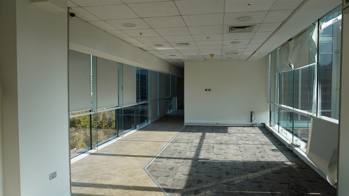350 M2 Habilitados / Lyon