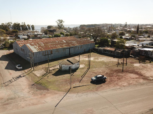 Local - Nueva Palmira