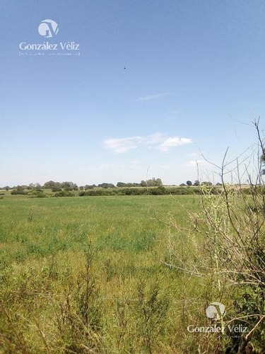 Campo En Colonia Estrella