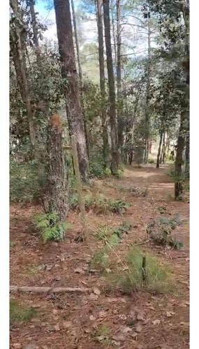 Amplio Terreno Para Cabañas En Los Alcanfores Sclc