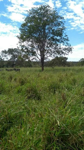 Imagem 10 de 20 de Fazenda 198 Hectares Agricultura E Pecuaria Curvelo Mg - 7604