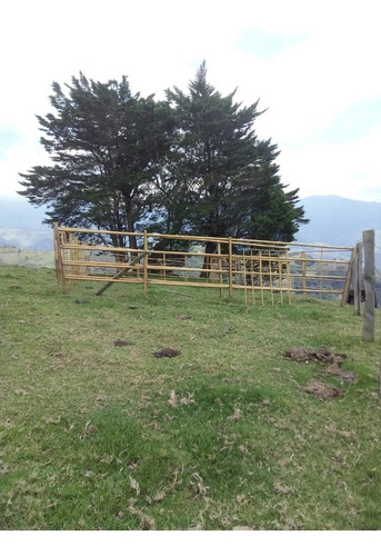Imagen 9 de 20 de Finca En Casa Via El Padre De 45 Hectáreas