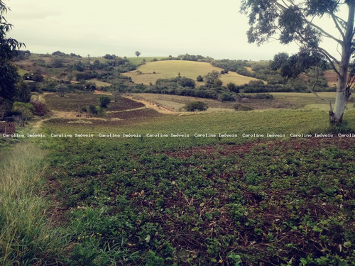 Imagem 3 de 8 de Área Rural Para Venda Em Mariana Pimentel, Boqueirão - 1208_1-1516489