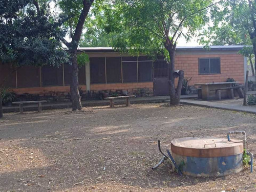 Imagen 6 de 14 de Finca 303 Hectáreas En Guárico, Vía Santa Rita.