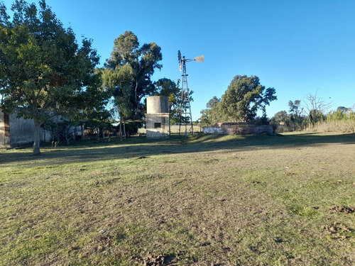 Campo En Venta - 41,4 Hectareas - Bolívar