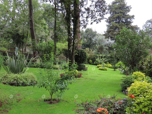 Imagen 6 de 30 de Venta Hermosa Residencia Al Norte De Cuernavaca- V82
