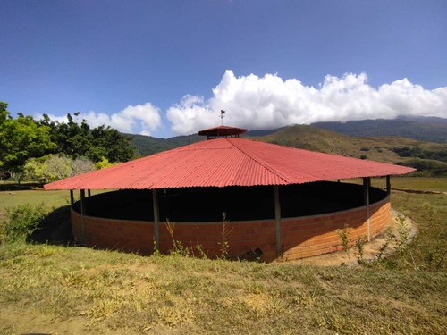 Vc Hacienda Chirgua Carabobo Tierras Propias Solo Clientes