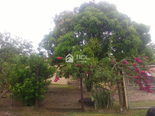 Imagem 27 de 27 de Chácara À Venda Em Bairro Dos Pires - Ch003273