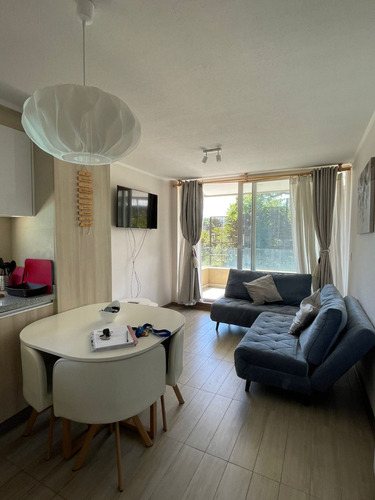 Arriendo Departamento Amoblado En Camino Variante Pucon.