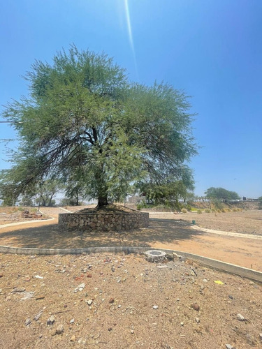 Venta De Terreno En Ameca Jalisco En Fraccionamiento Residencial Palmar Country Club