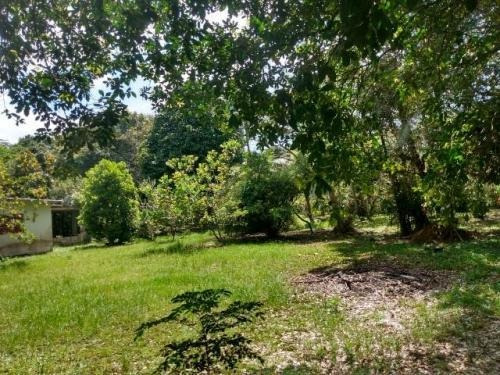 Chácara Na Praia De Itanhaém,confira! 7460 J.a