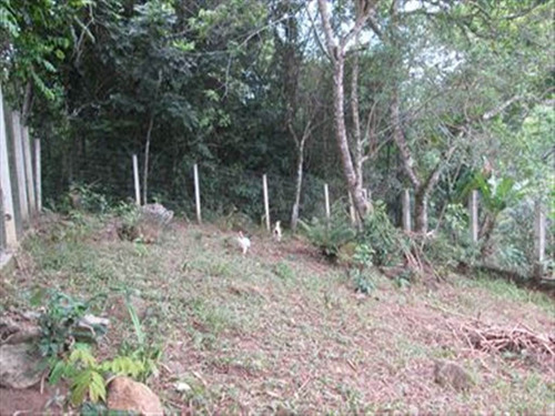 Imagem 4 de 16 de Rural - Venda - Loty - Itanhaem - Ita1332