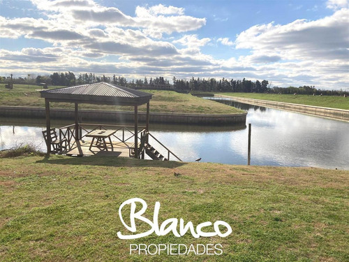 Imagen 3 de 7 de Oportunidad! Excelente Lote De 1000 Metros Dentro Del Barrio Náutico El Yacht - Nordelta