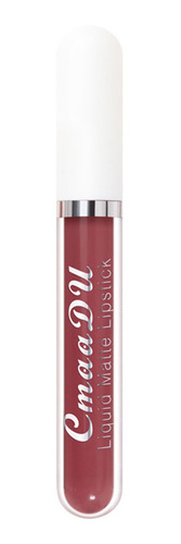 Labios 18 Colores A Prueba De Agua De Juego 6 Cajas Brillo