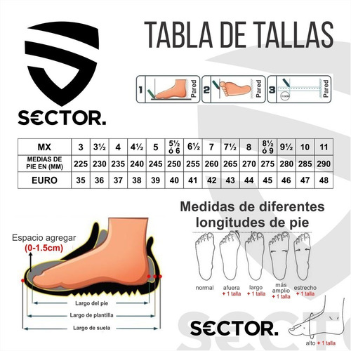 Imagen 3 de 8 de Sector Liner 0572