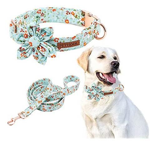 Pettidol Cute Floral Mujer Collar De Perros Y Correa 9dfrh