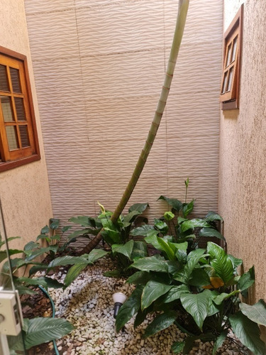 Imagem 13 de 30 de Sobrado Com Fino Acabamento No Jardim Portal Do Sol - Ca04164 - 34582000