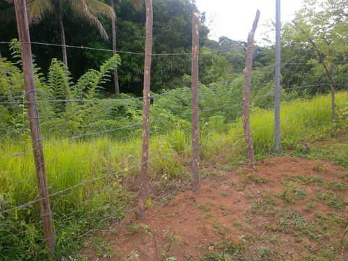 Imagen 11 de 14 de Excelente Finca Ubicada En San Sebastian. Estado Aragua